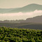 Napa Valley