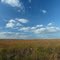 Hi Lonesome Prairie