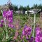 Myllonen'a RV Park