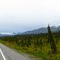 Westbound on the Glenn Highway in Alaska