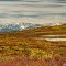 Fall in the Talkeetna Mountains, Alaska.