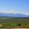 Near Palmer Alsaka
