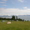 see site farm