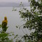 Kachemak Bay