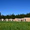 The camp