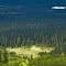 Moose Meadow above Deception Cr., Talkeetna Mtns., Houston, Alaska