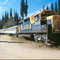 Aurora Express Fairbanks