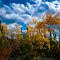 Alaskan Autumn