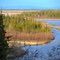 Tanana at Byers Island