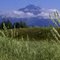 More Alaskan Mountains, just south of Denali National Park