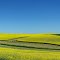 Unusual farming