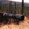 abandoned pipeline, Fox, AK, sep 1972