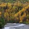 Knick River tributary