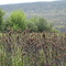 Field Trip - May 2, 2006