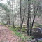 Little Fishing Creek above Hecla