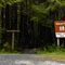 Stany Creek Trail Signs