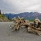 Driftwood on the Knik