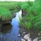 Spirit Mound Creek