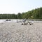 Fishing for Salmon