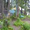 Camp area,fishing rods and swing