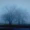 Rain, Trees and Fog