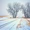 2012 12-16 Country Road