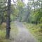 Bridge to Near Point & Wolverine Peak
