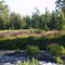 Par 3, 3rd Hole. Fort Richardson Golf Course. Creek.