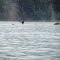 Whale watching near Juneau, AK 21 Jul 2009