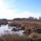Late Fall