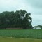 Farm and hay near 44th