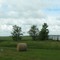 Wall Drug and trailers