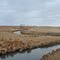 Rural Brookings Co., SD