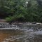 Hurricane Creek Park near M-Bend, Just beyond the Highway 216 bridge. Tuscaloosa, Alabama.