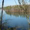 Mulberry Fork West View