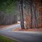 Smith Camp Road