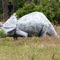 Dinosaur 1