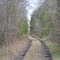 Central of Georgia Roadbed (abandoned 1985)