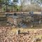 old graves