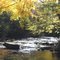 Turkey Creek