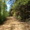 Narrows Road