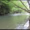 Cypress Creek