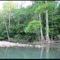 Cypress Creek