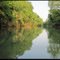 Cypress Creek