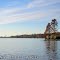Colbert Steam Plant on the Horizon at Pippin Towhead