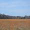 Spratling Field Airport - Grass Strip