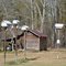 Bird Village