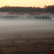 Mornings Holt Dam
