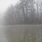 Fog on Lake Weiss