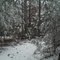 White Christmas in Alabama